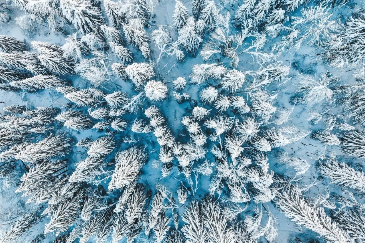 La Petite Azalee Daire Montriond Dış mekan fotoğraf