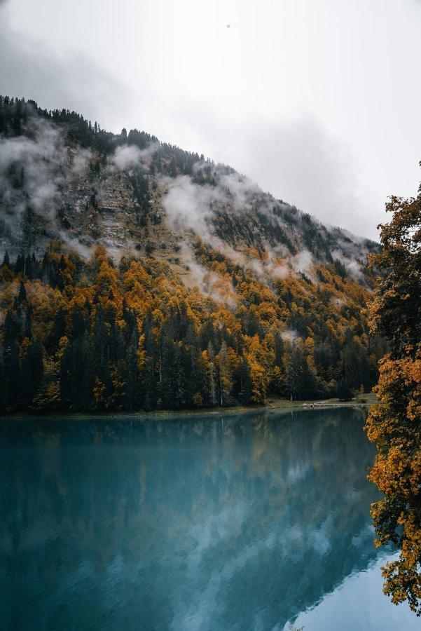 La Petite Azalee Daire Montriond Dış mekan fotoğraf